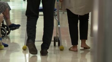 Hallazgo científico que ralentiza el envejecimiento