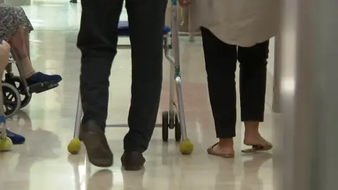 Hallazgo científico que ralentiza el envejecimiento Envejecimiento