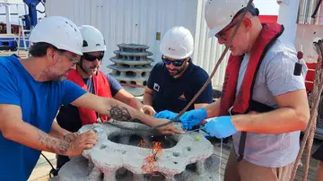 Arrecifes artificiales en el mar de Alborán para restaurar los corales de profundidad Arrecifes artificiales en el mar de Alborán para restaurar los corales de profundidad