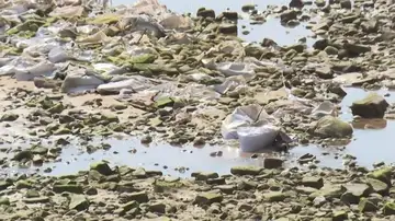 El Ayuntamiento prepara intervenciones nocturnas para retirar estos restos El Ayuntamiento prepara intervenciones nocturnas para retirar estos restos