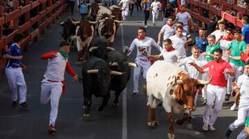 Mozos participan en el tercer encierro de San Sebastián de los Reyes (Madrid), este martes
