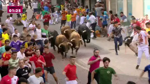 Caída del novillo Caída del novillo