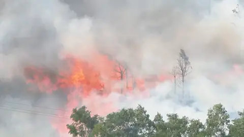 Última hora de los incendios en España: Asturias Última hora de los incendios en España: Asturias