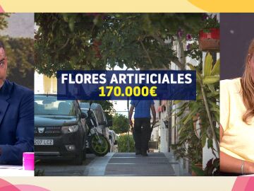 impuestos