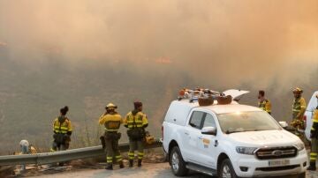 Bomberos observan el incendio foresta en La Baña