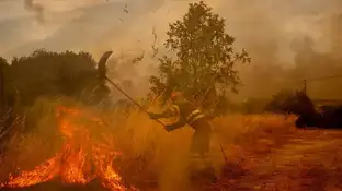 Inmigrantes luchan contra el fuego en Ourense para evitar que las llamas lleguen a las casas Inmigrantes luchan contra el fuego en Ourense para evitar que las llamas lleguen a las casas