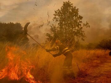 Inmigrantes luchan contra el fuego en Ourense para evitar que las llamas lleguen a las casas