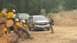Agentes federales de Inmigraci&oacute;n detienen a dos bomberos durante un incendio forestal