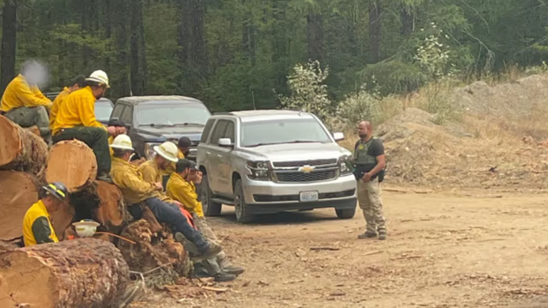 Agentes federales de Inmigración detienen a dos bomberos durante un incendio forestal Agentes federales de Inmigración detienen a dos bomberos durante un incendio forestal