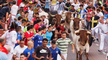 Octavo encierro