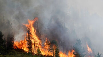Vista del incendio de San Antolín de Ibias, Asturias