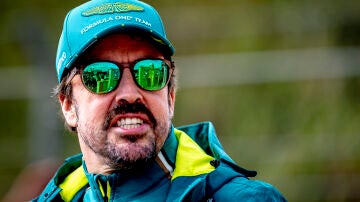 Fernando Alonso durante el GP de Holanda