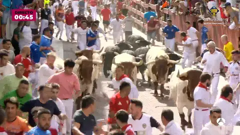 Octavo encierro de San Sebastián de los Reyes 2025, streaming en directo Octavo encierro de San Sebastián de los Reyes 2025, streaming en directo
