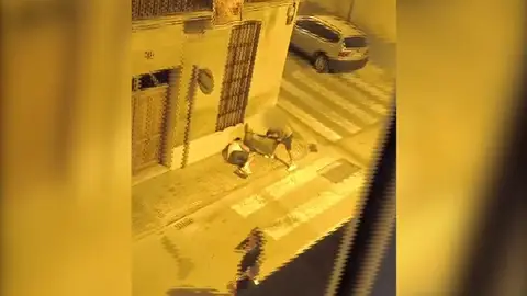 Alfafaqr Alfafaqr