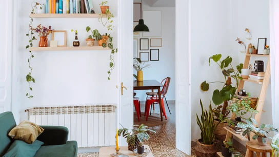 Casa Casa