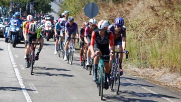 El pelotón durante la etapa 17 de la Vuelta Ciclista a España