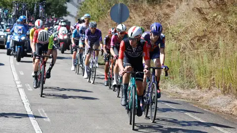 El pelotón durante la etapa 17 de la Vuelta Ciclista a España El pelotón durante la etapa 17 de la Vuelta Ciclista a España