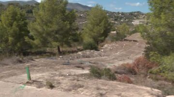 Atropello en Calpe, Alcante