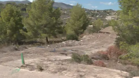 Atropello en Calpe, Alcante Atropello en Calpe, Alcante