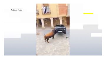 Encierro toros