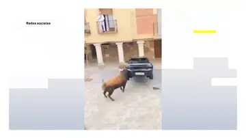 Encierro toros Encierro toros