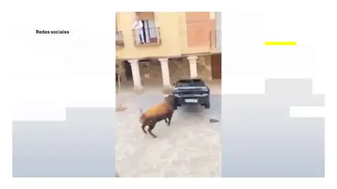 Encierro toros Encierro