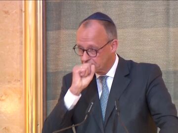 Friedrich Merz llora