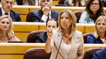La portavoz del PP en el Senado, Alicia García