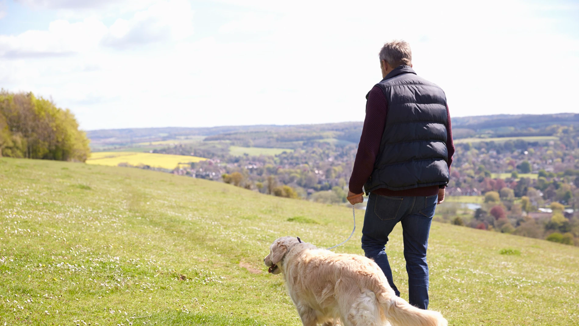Un hombre paseando con un perro Un hombre paseando con un perro