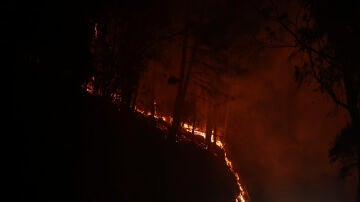 Imagen del fuego en Pantón