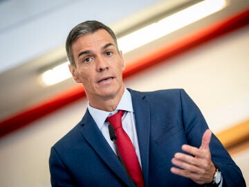 Pedro S&aacute;nchez