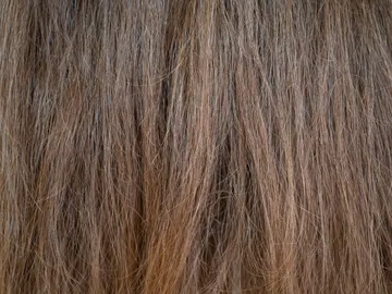 Pelo encrespado Pelo encrespado