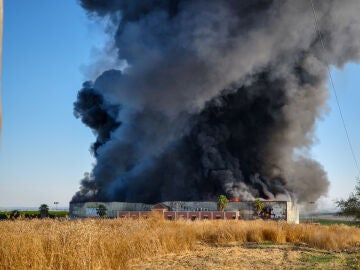Imágenes del incendio en la fabrica Huerta Campo Rico