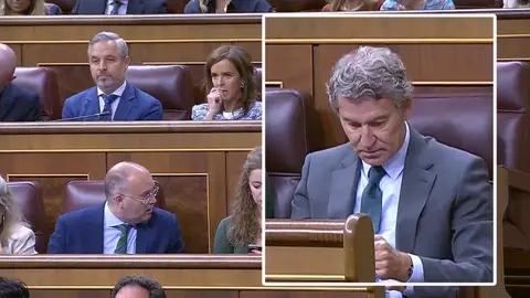 Feijóo Feijóo