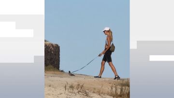 Chica paseando a una paloma
