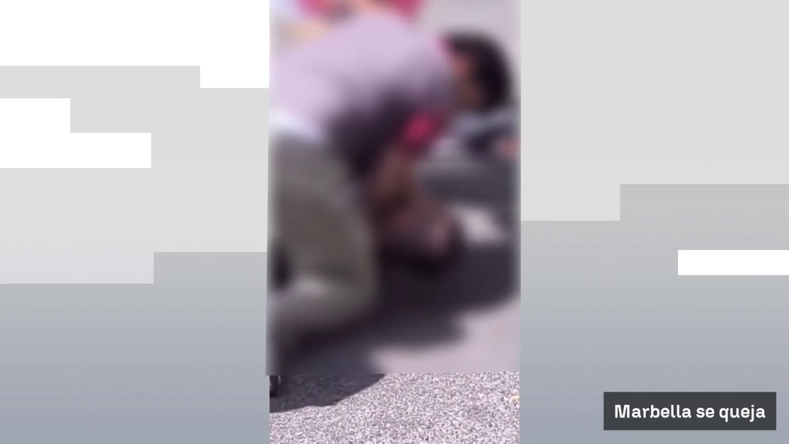 Vídeo: Un frutero reduce al ladrón que robó en su tienda en Marbella
