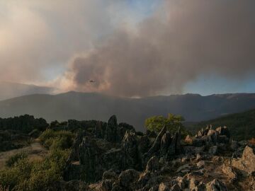 Castilla y León envía una alerta en La Pinilla por el incendio de Peñalba, Guadalajara