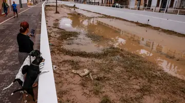 Una mujer y sus dos perros observan el barranco de La Saleta tras su desbordamiento, a 29 de septiembre de 2025, en Aldaia, Valencia, Comunidad Valenciana (España) Una mujer y sus dos perros observan el barranco de La Saleta tras su desbordamiento, a 29 de septiembre de 2025, en Aldaia, Valencia, Comunidad Valenciana (España)