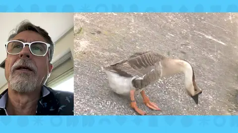 La gripe aviar llega a Madrid. La gripe aviar llega a Madrid.