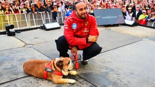 Lewis Hamilton junto a su perro Roscoe