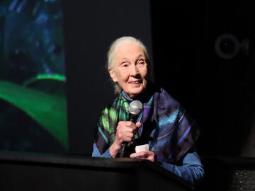 Jane Goodall