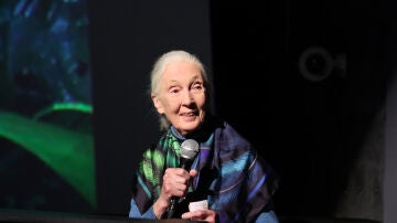Jane Goodall