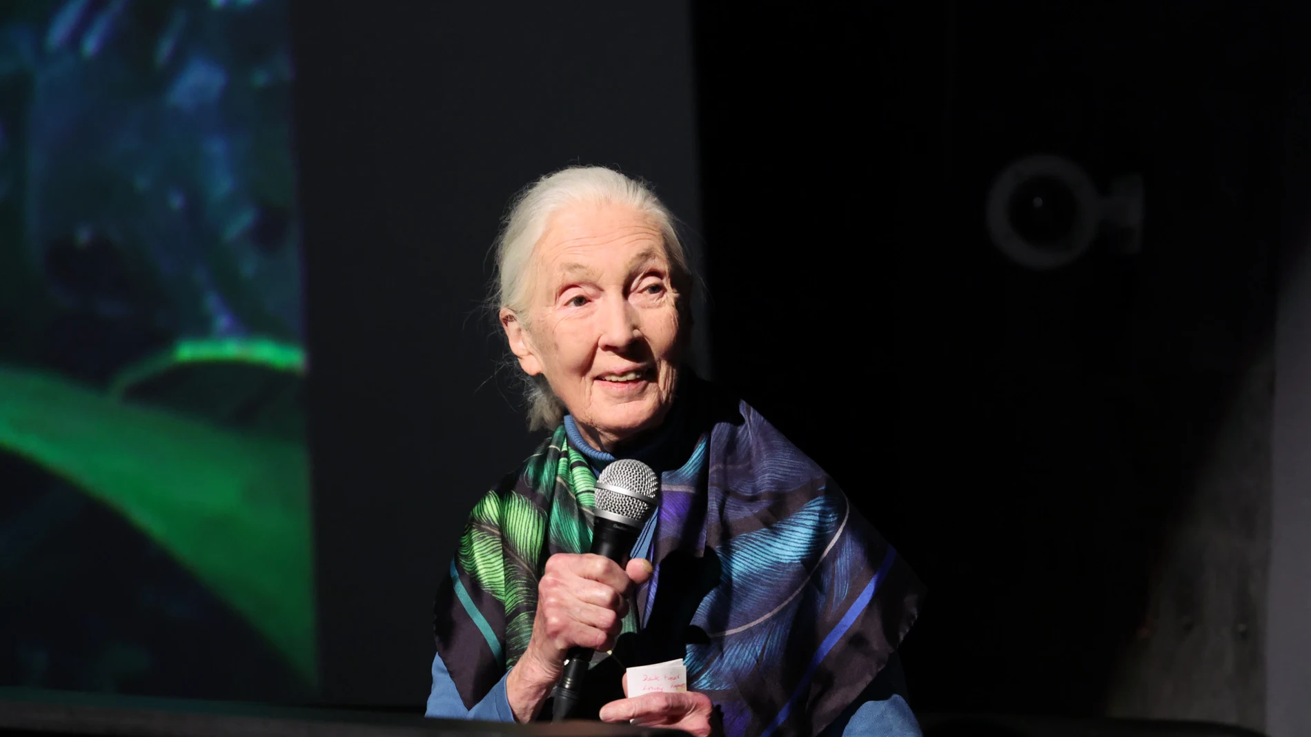 Jane Goodall Jane Goodall