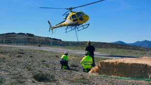 Reparto a&eacute;reo de 60 toneladas de alimento para los animales
