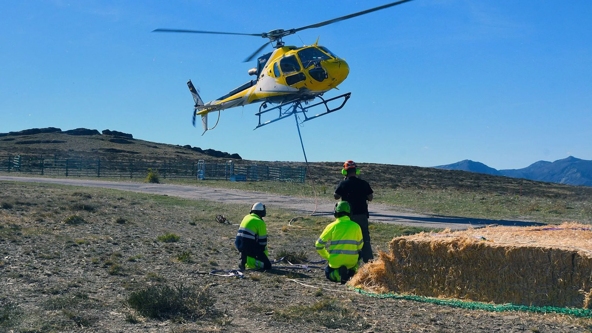 Reparto aéreo de 60 toneladas de alimento para los animales Reparto aéreo de 60 toneladas de alimento para los animales
