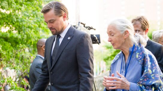 Leonardo DiCaprio y Jane Goodall