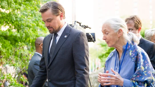 Leonardo DiCaprio y Jane Goodall Leonardo DiCaprio y Jane Goodall
