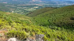 El rural se convierte en cortafuegos El rural se convierte en cortafuegos