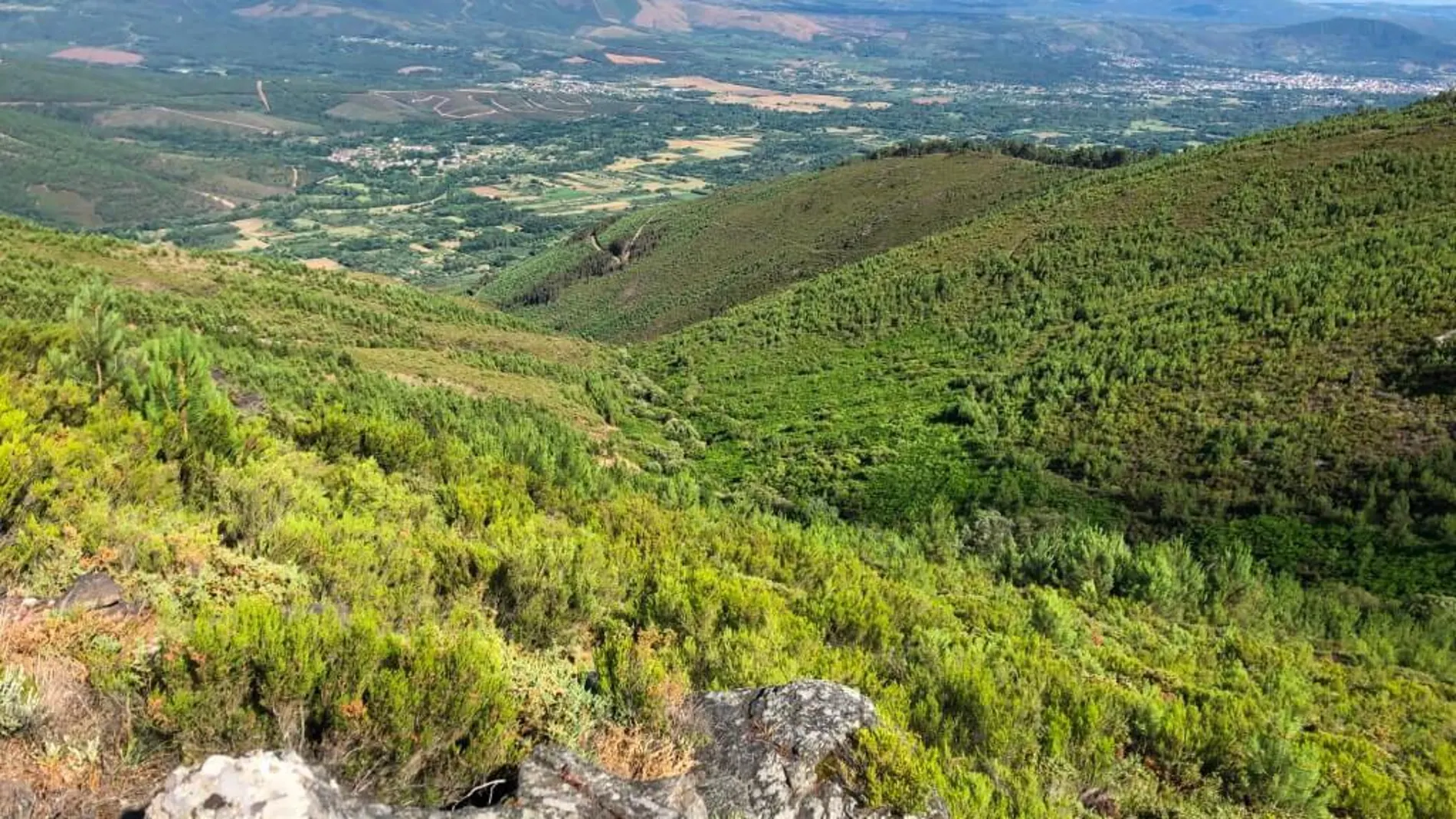 El rural se convierte en cortafuegos El rural se convierte en cortafuegos