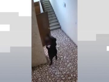 Detenida en Barcelona una mujer por robar al personal de limpieza de edificios y entrar en 17 trasteros con llave falsa